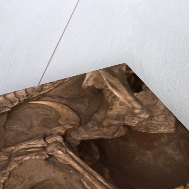 Velociraptor Claw in Belly of a Protoceratops by Anonymous