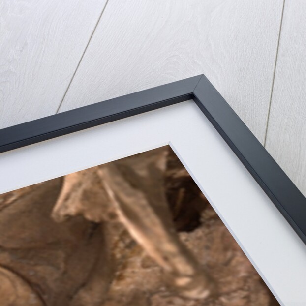 Velociraptor Claw in Belly of a Protoceratops by Anonymous