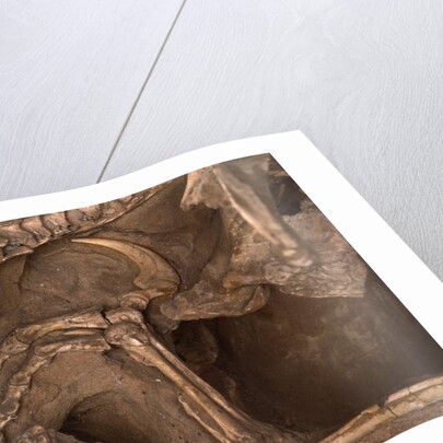 Velociraptor Claw in Belly of a Protoceratops by Anonymous