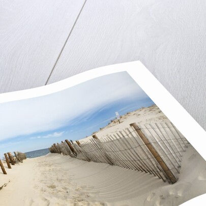 Quiet Beach by Anonymous