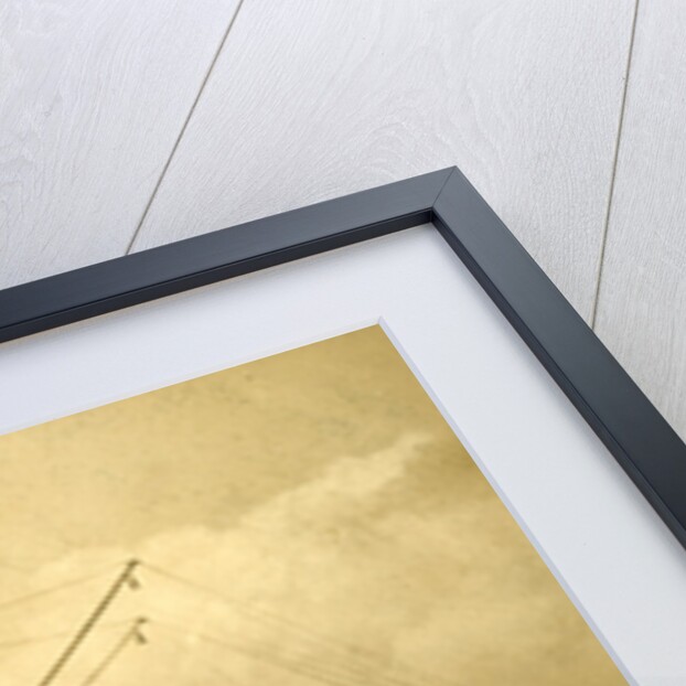 A "Flying Machine" Ride at Battersea Amusement Park, England by Anonymous