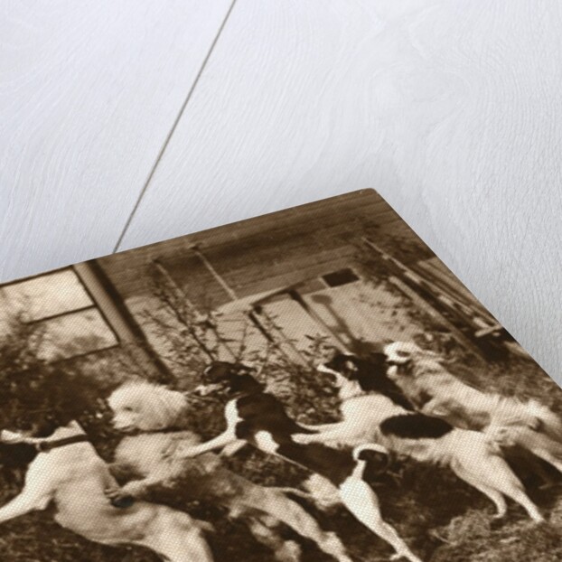Poodle and Five Dogs Standing on their Hind Legs in a Line by Anonymous