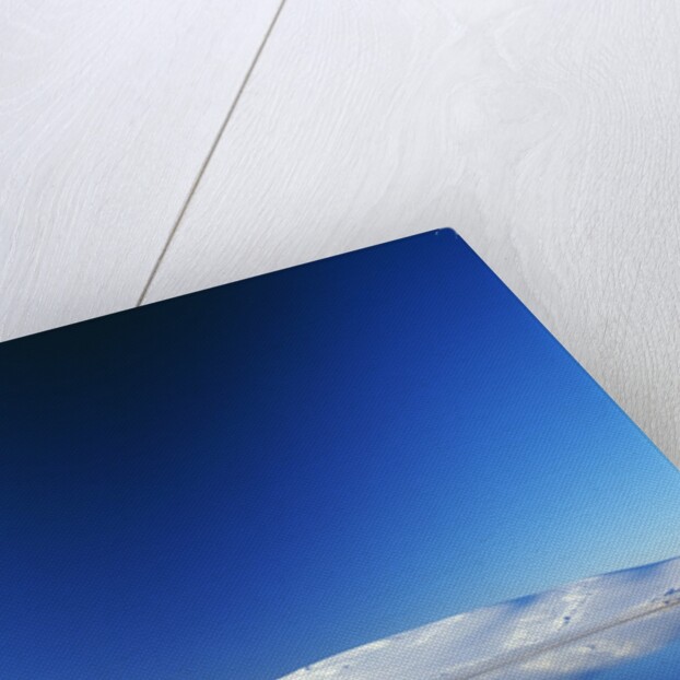 White Sands National Monument by Anonymous