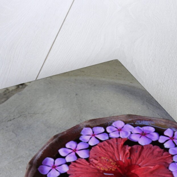 Flowers Floating in Bowl of Water by Anonymous