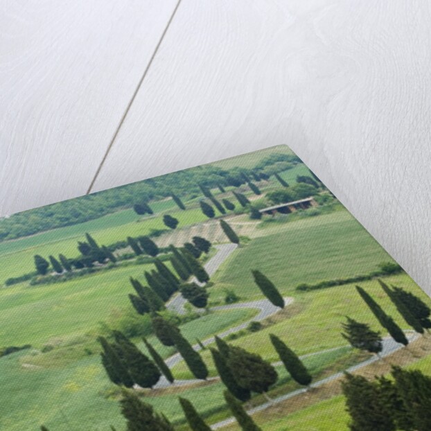 Winding Country Road by Anonymous