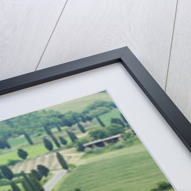 Winding Country Road by Anonymous