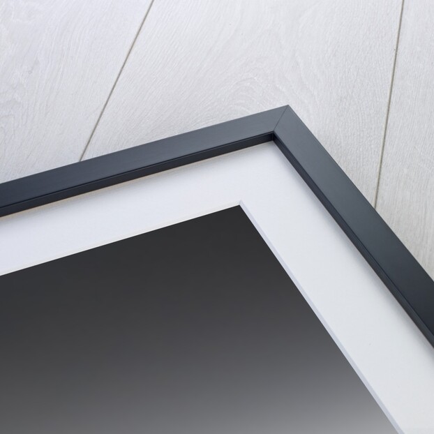 Cypress Grove in Field by Anonymous