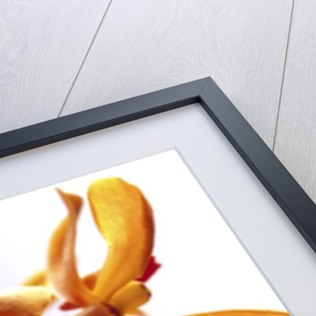 Yellow Flowers by Anonymous