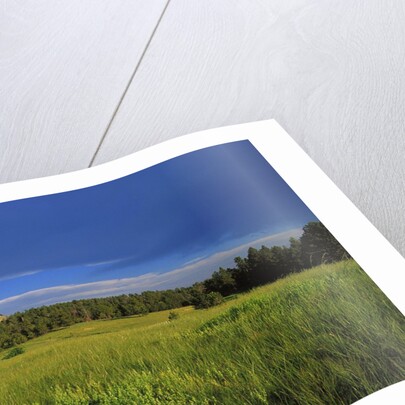 Devils Tower National Monument by Anonymous