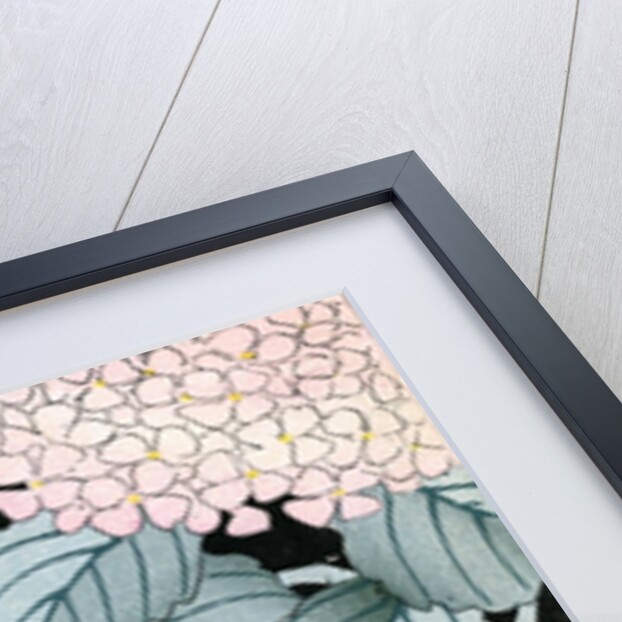 Illustration of Hydrangeas and Butterflies by Anonymous