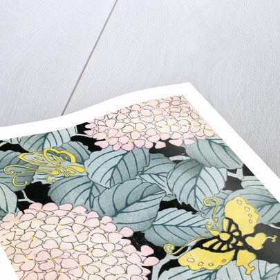 Illustration of Hydrangeas and Butterflies by Anonymous