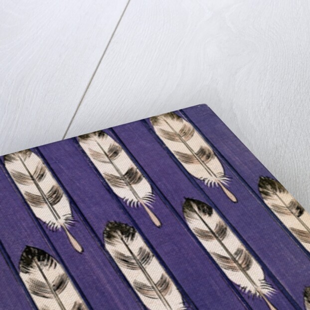 Illustration of Feathers on a Lavender Geometric Background by Anonymous