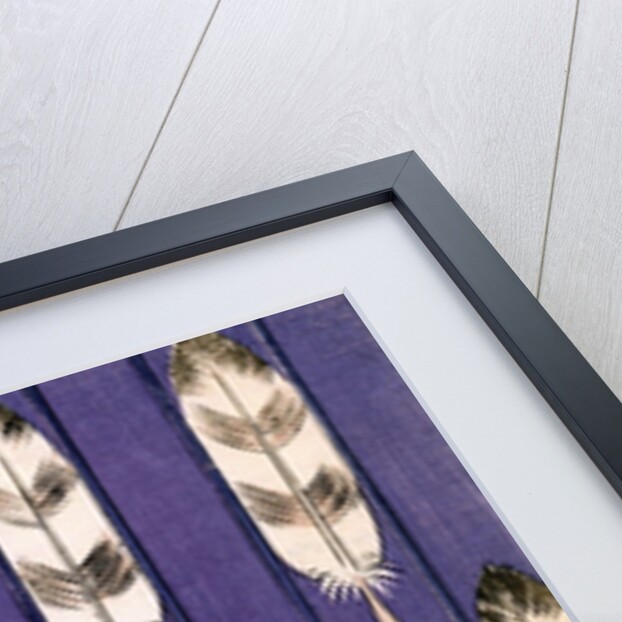 Illustration of Feathers on a Lavender Geometric Background by Anonymous