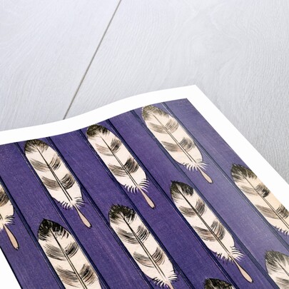 Illustration of Feathers on a Lavender Geometric Background by Anonymous