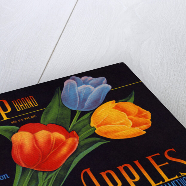 Tulip Brand Apples Fruit Crate Label by Anonymous