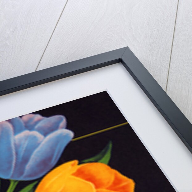 Tulip Brand Apples Fruit Crate Label by Anonymous