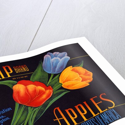 Tulip Brand Apples Fruit Crate Label by Anonymous