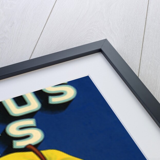 Delicious Fruits Fruit Crate Label by Anonymous