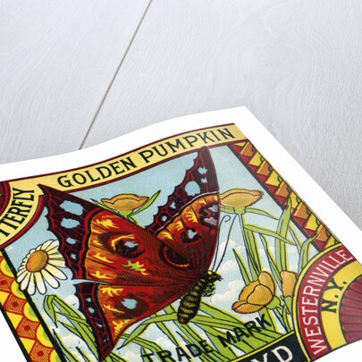 Butterfly Golden Pumpkin Product Label by Anonymous