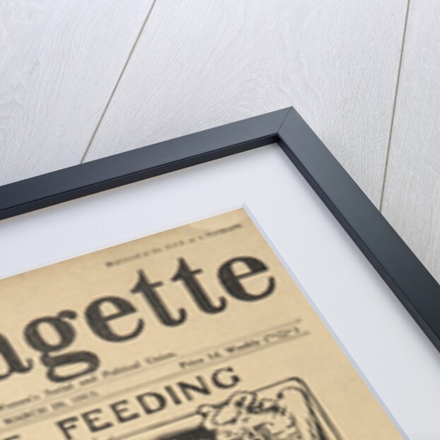 Forcible Feeding Cover of The Suffragette by Anonymous