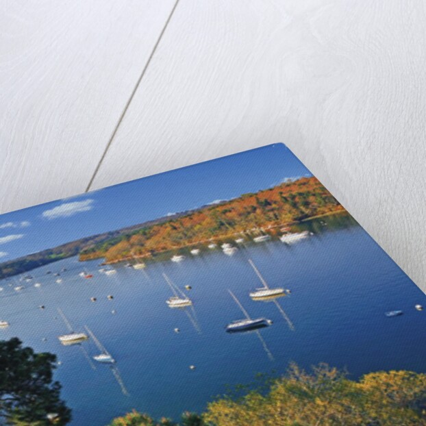 Sailboats Anchored on River by Anonymous