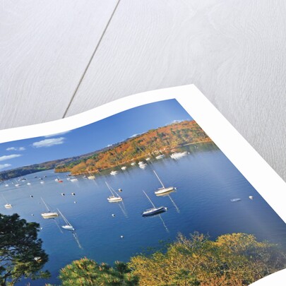 Sailboats Anchored on River by Anonymous