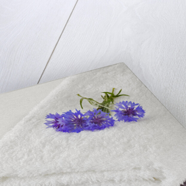 Towels by Anonymous