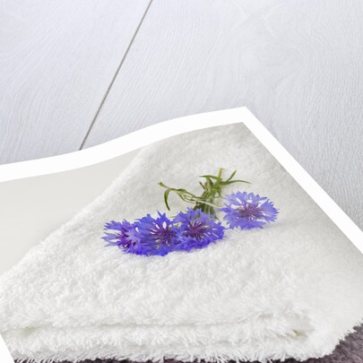 Towels by Anonymous