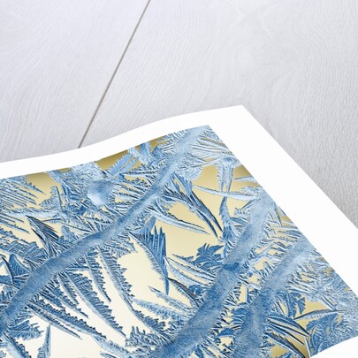 Frost on Glass by Anonymous