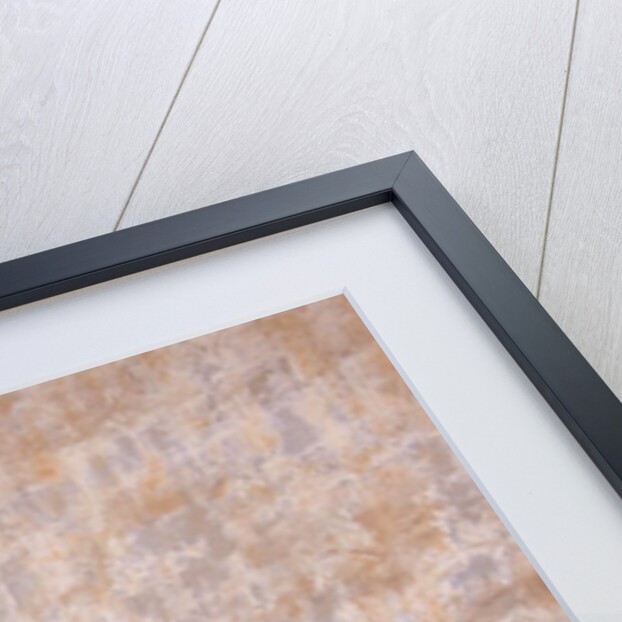 Italian Flag Hanging from Window by Anonymous