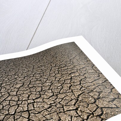 Eroding Ground of Desert by Anonymous