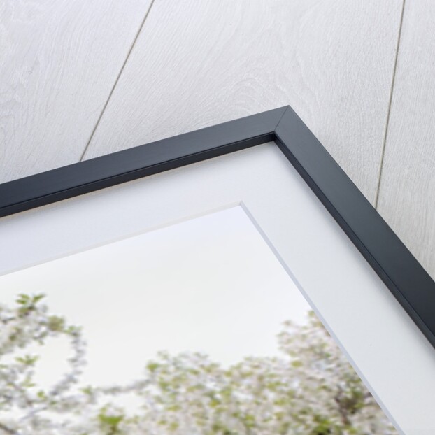 Cherry Trees and Dandelions in Bloom by Anonymous