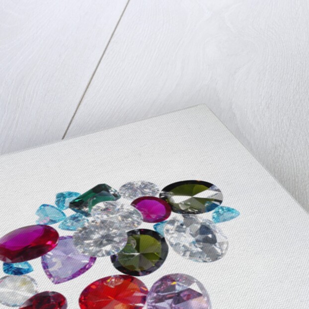 Variety of Jewels by Anonymous