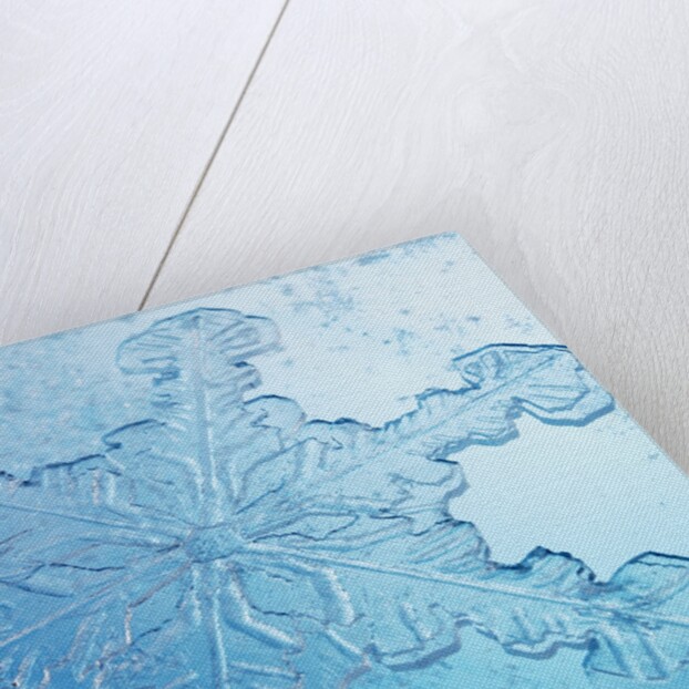 Close-Up of Snowflake by Anonymous