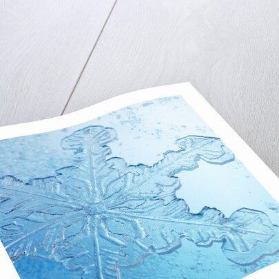 Close-Up of Snowflake by Anonymous