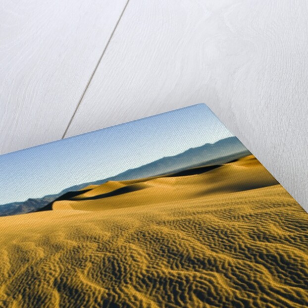 Ripples in Sand by Anonymous