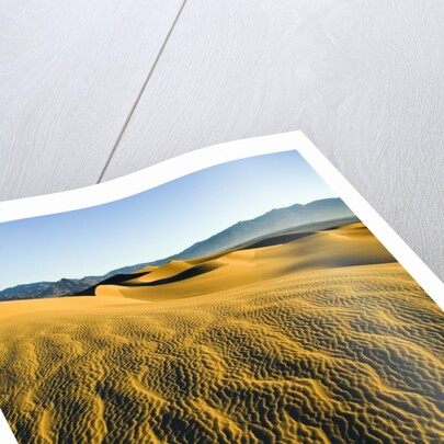 Ripples in Sand by Anonymous