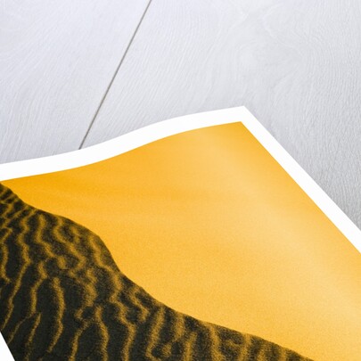 Sand Dune Ridge by Anonymous