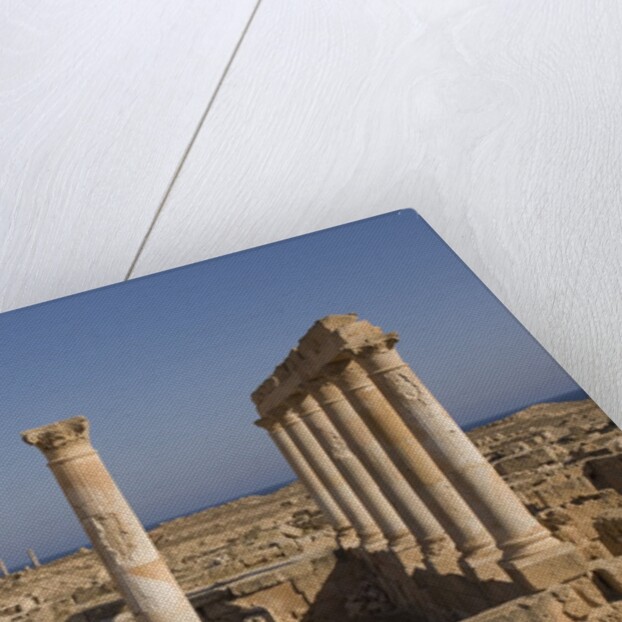 Roman Ruins of Sabratha in Libya by Anonymous