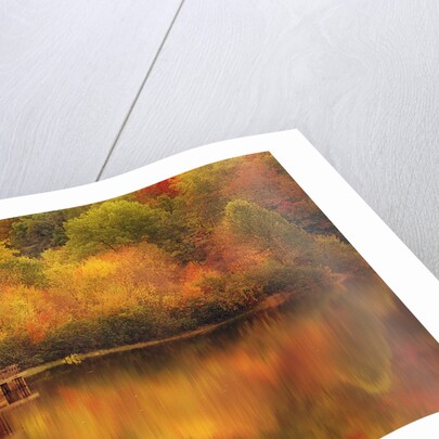 Wooden Cabin on Lake in Autumn by Anonymous