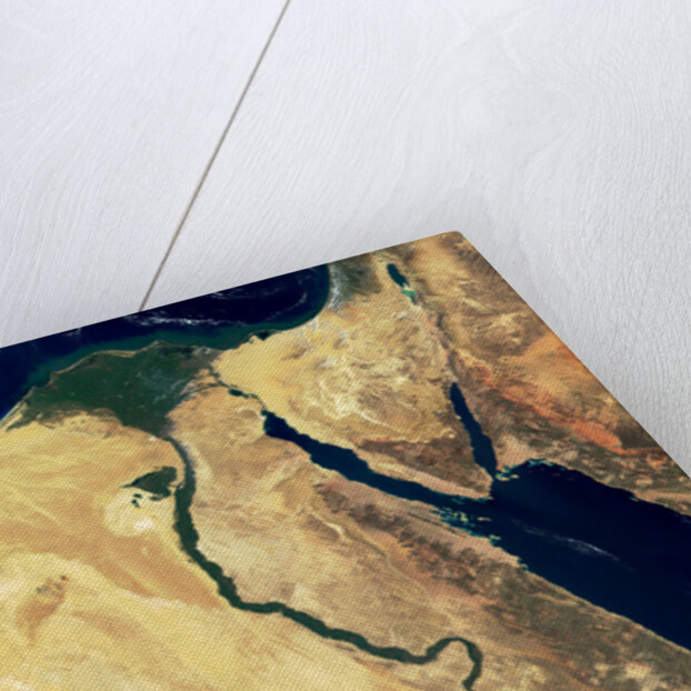 Nile River in Egypt and the Sinai Peninsula by Anonymous