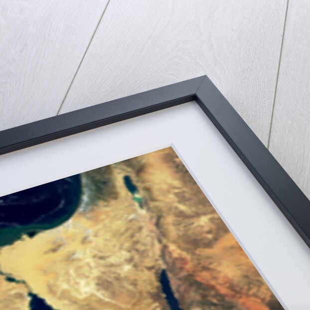 Nile River in Egypt and the Sinai Peninsula by Anonymous