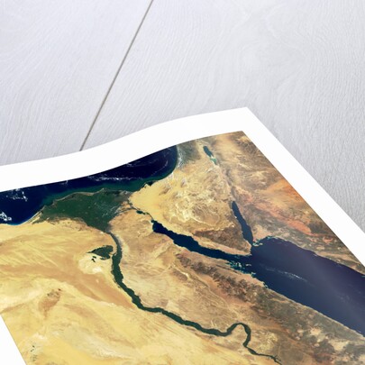 Nile River in Egypt and the Sinai Peninsula by Anonymous