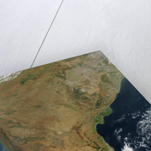 Southern India by Anonymous
