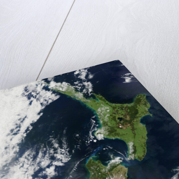 New Zealand by Anonymous