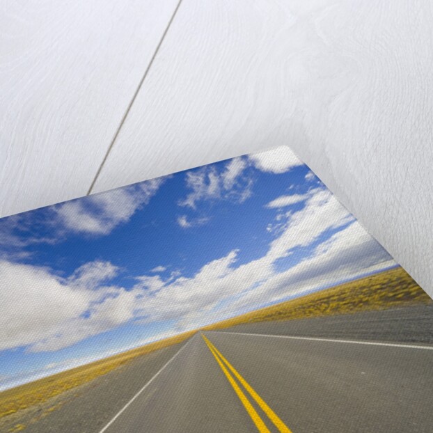 Rural Road Through Grassland by Anonymous