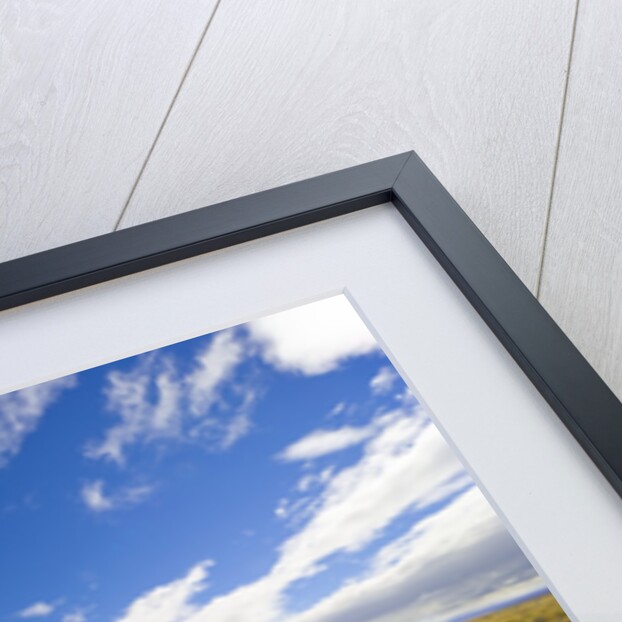 Rural Road Through Grassland by Anonymous