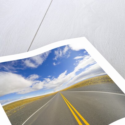 Rural Road Through Grassland by Anonymous