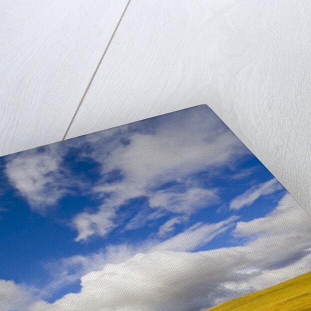 Cumulus Clouds above Rural Road by Anonymous