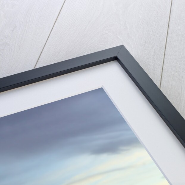 Prairie under Cloudy Sky at Sunset by Anonymous
